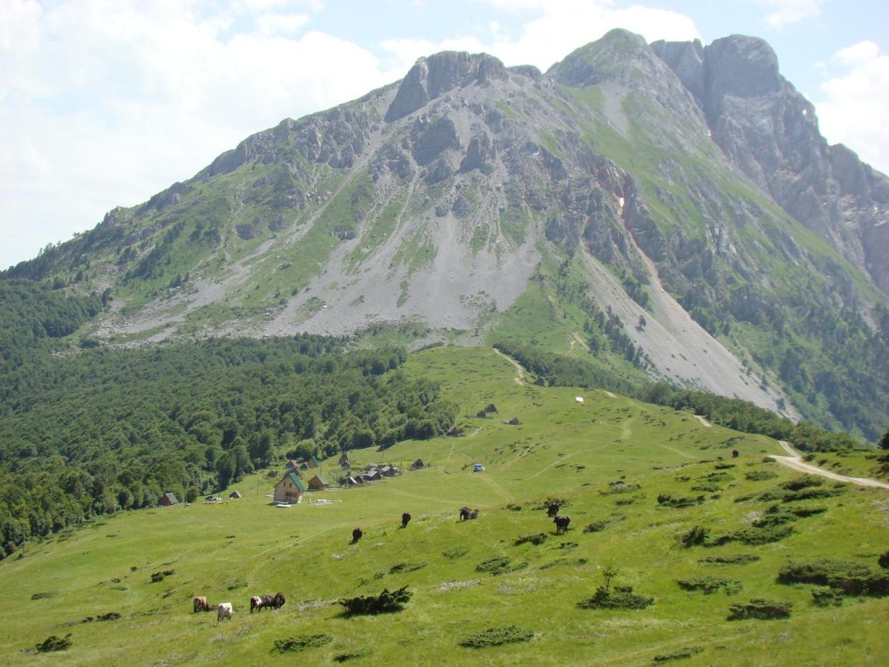 Vila Komovi Eko Katun Andrijevica Exteriér fotografie